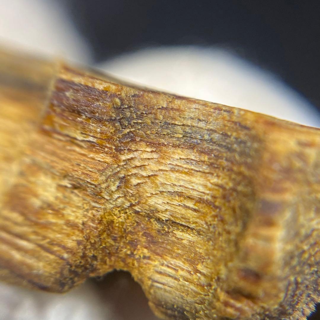 【極上品】高油分 伽羅 くり抜き端材 香木 濃厚な香り　5g