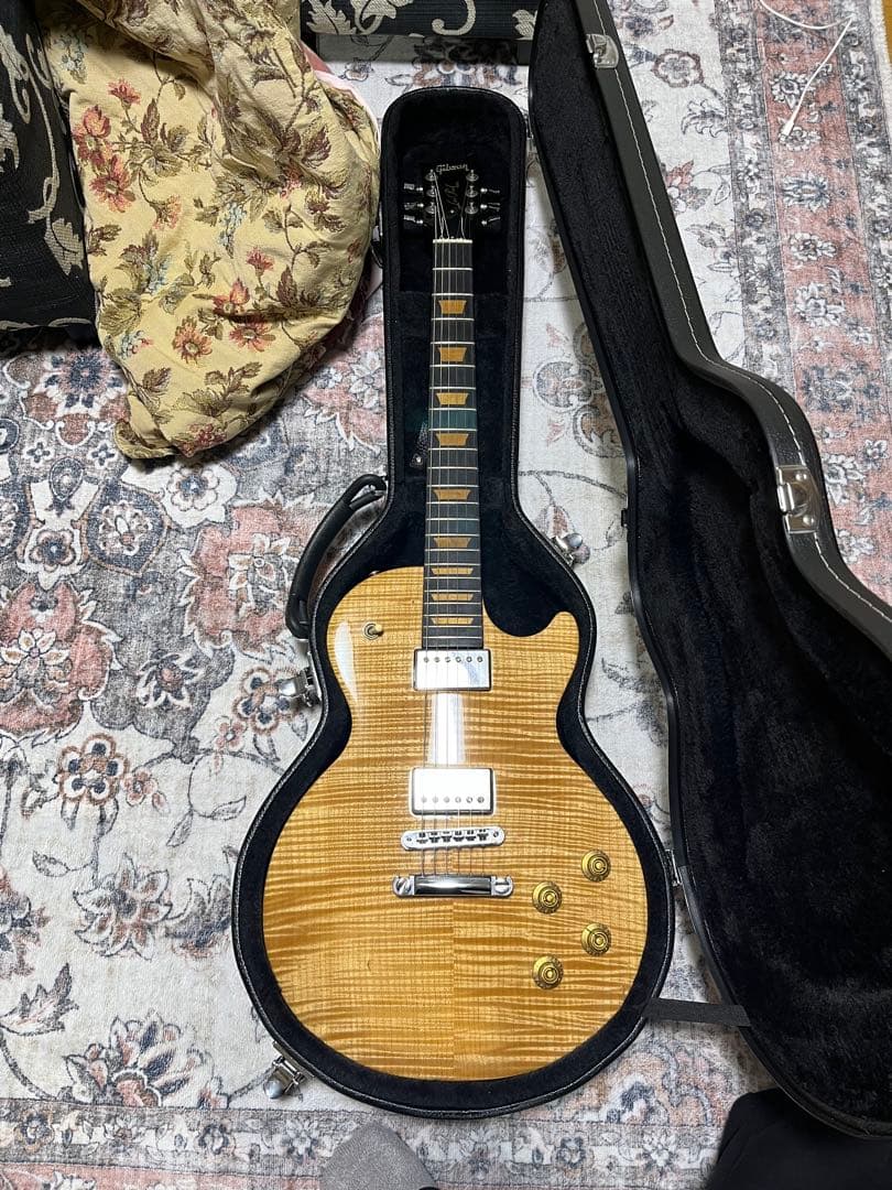 Gibson Les Paul Push Tone