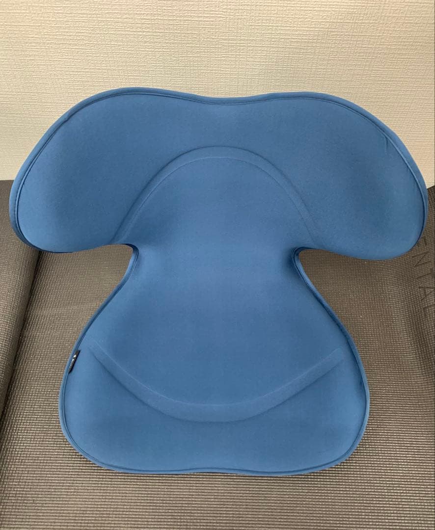 Style SMART 姿勢矯正クッション