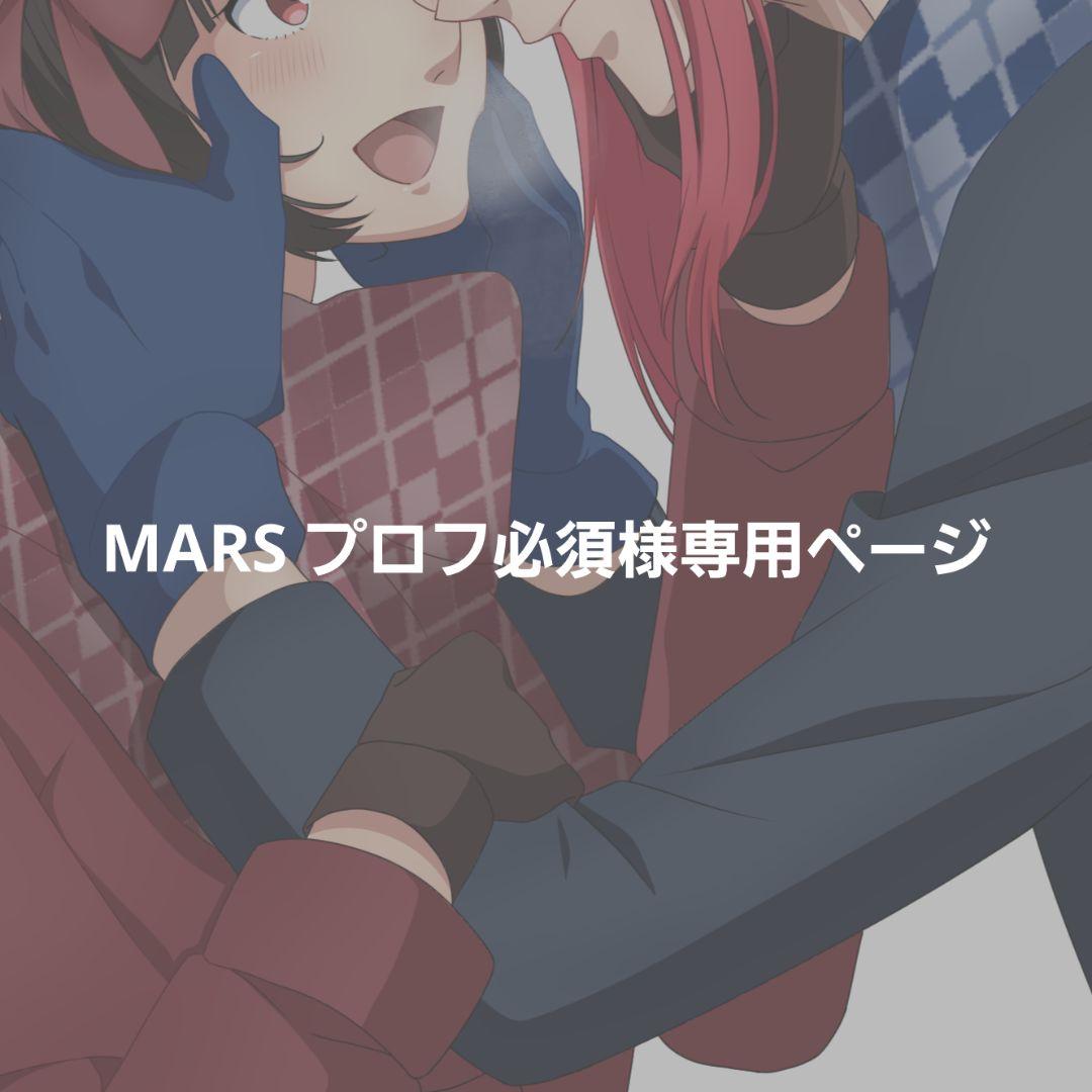 MARS プロフ必須ページ