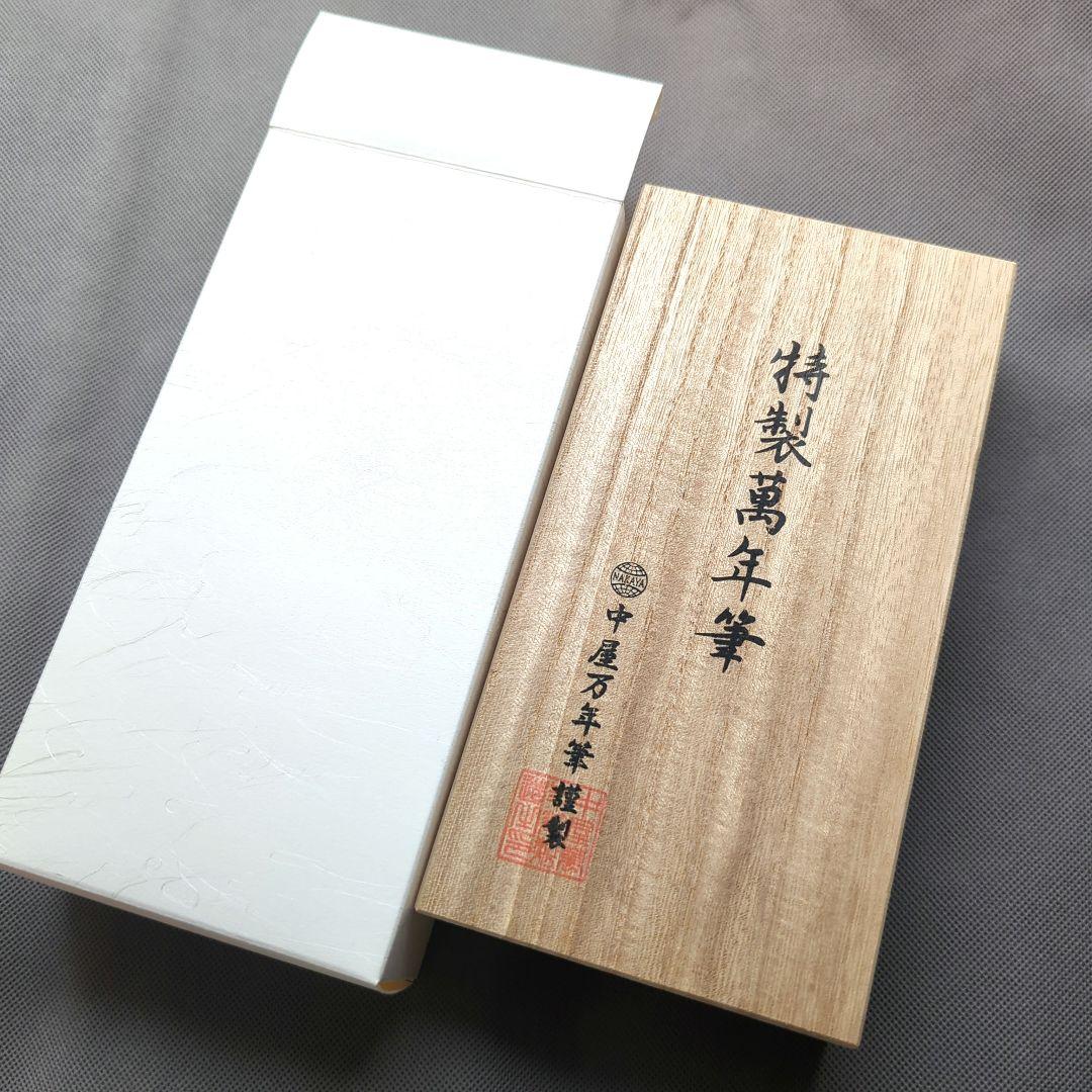 中屋万年筆「十角 緑溜 ポータブル」太字（B）