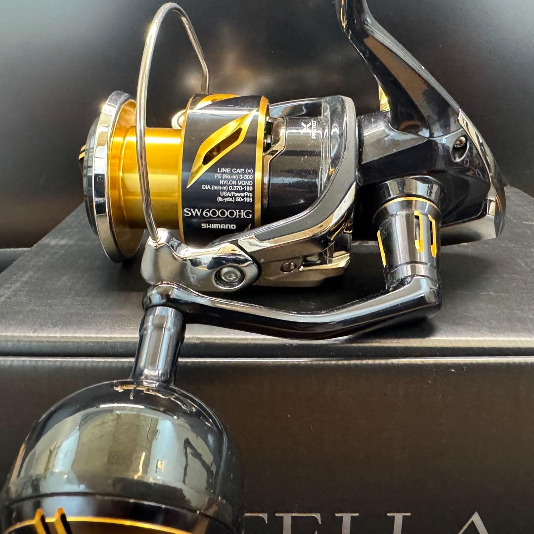 SHIMANO【20ステラSW6000HG】