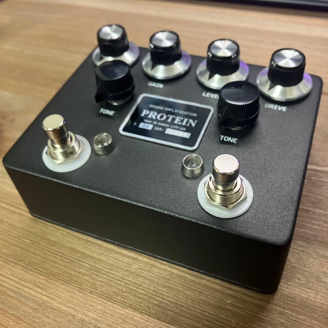 browne amplification PROTEIN クローン