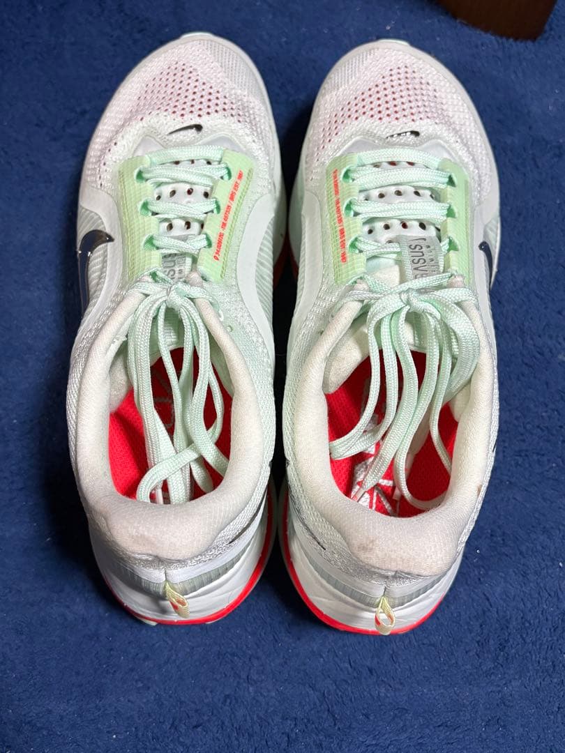 ナイキ ペガサス プレミアム25cm