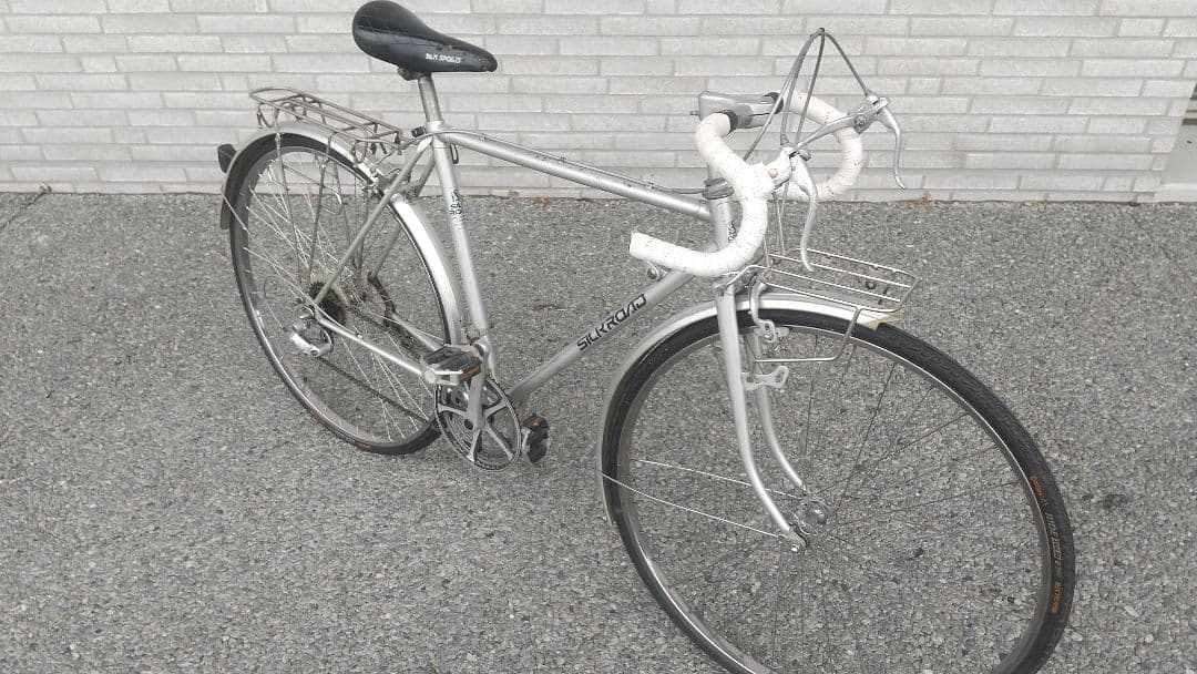 片倉シルク SILK ROAD スポルティーフ シルバー