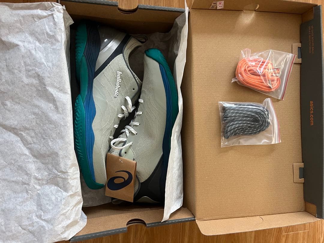 ボーラホリック ASICS GLIDE NOVA FF 2 28.0cm