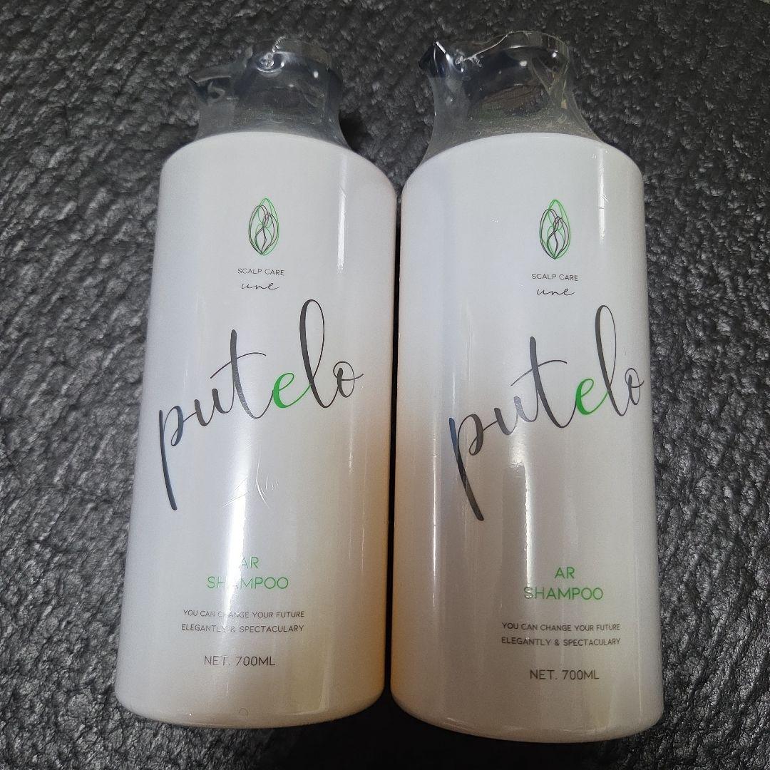 かなりお得♪ 新品未使用 プテロシャンプー2本セット 育毛