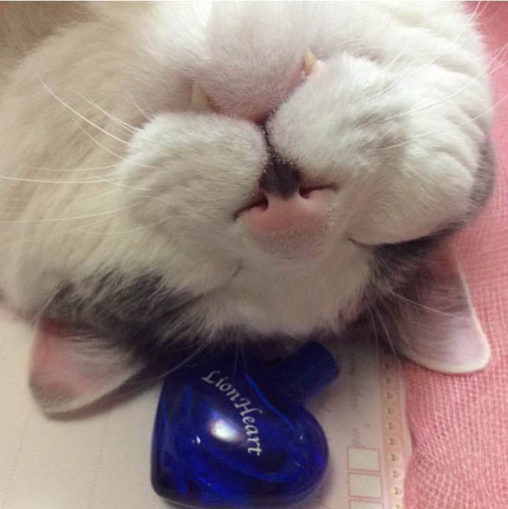 【お取り置き品】ライオンハート オードトワレ 10ml