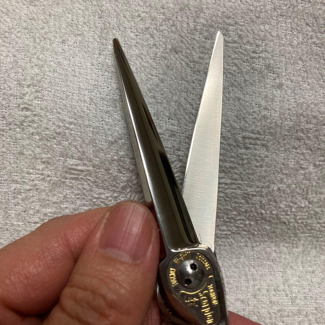 【*】様 Toginon 美容師専用　Scorpion シザー 5.5？インチ