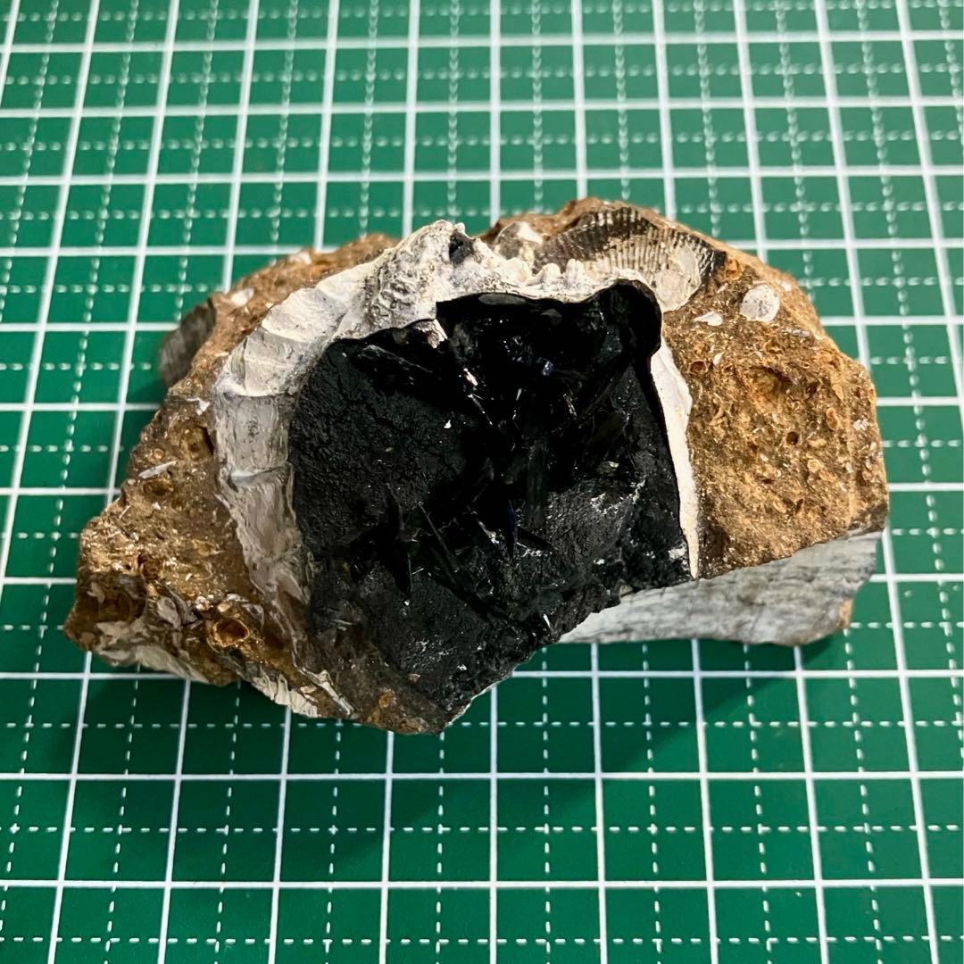 希少 ヴィヴィアナイト シェルフォッシル 藍鉄鉱 貝化石 原石 標本 118g