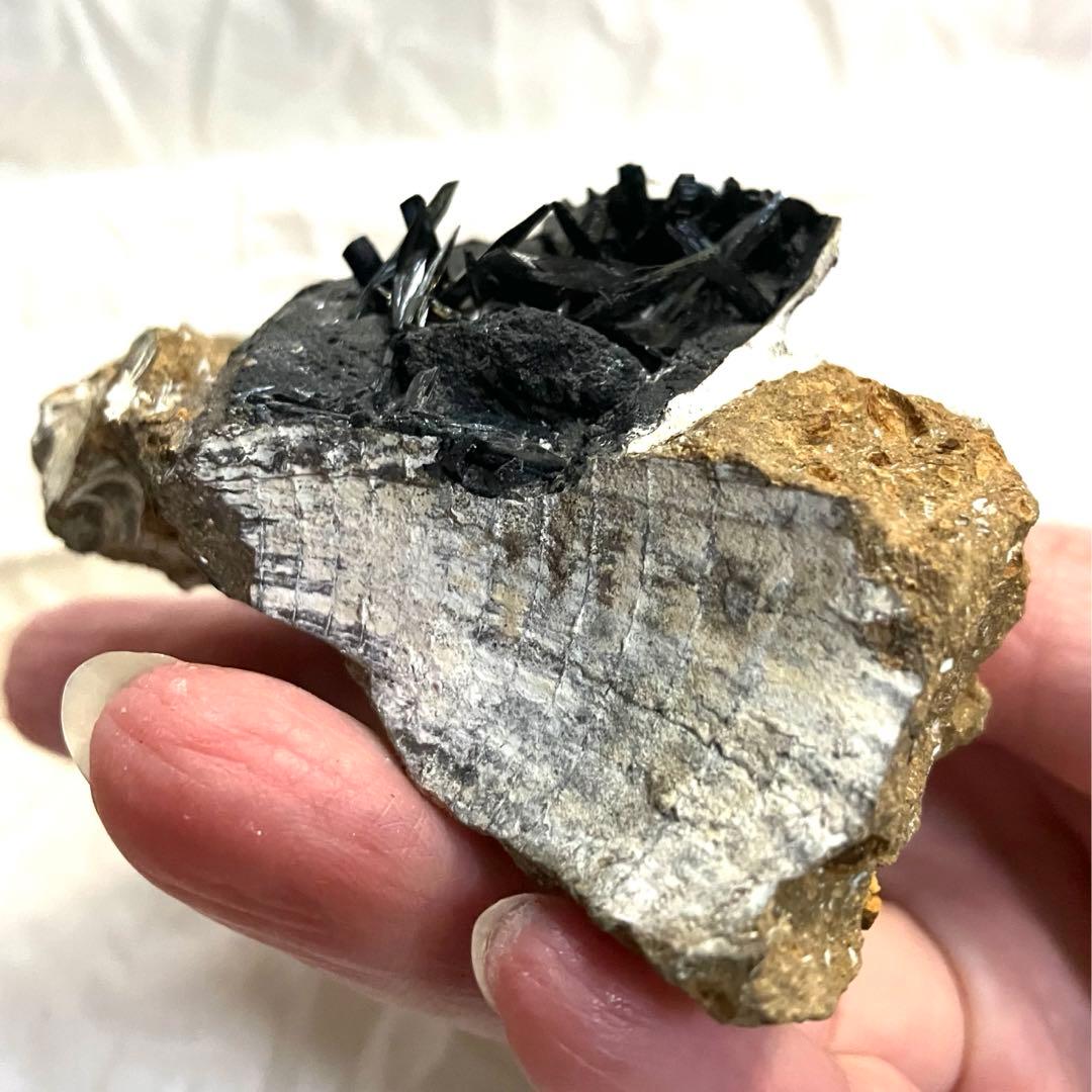 希少 ヴィヴィアナイト シェルフォッシル 藍鉄鉱 貝化石 原石 標本 118g