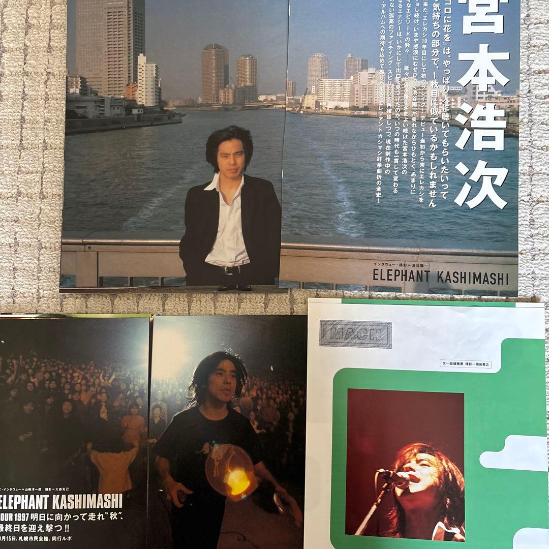 エレファントカシマシ 宮本浩次　切り抜き 約８０枚ぐらい