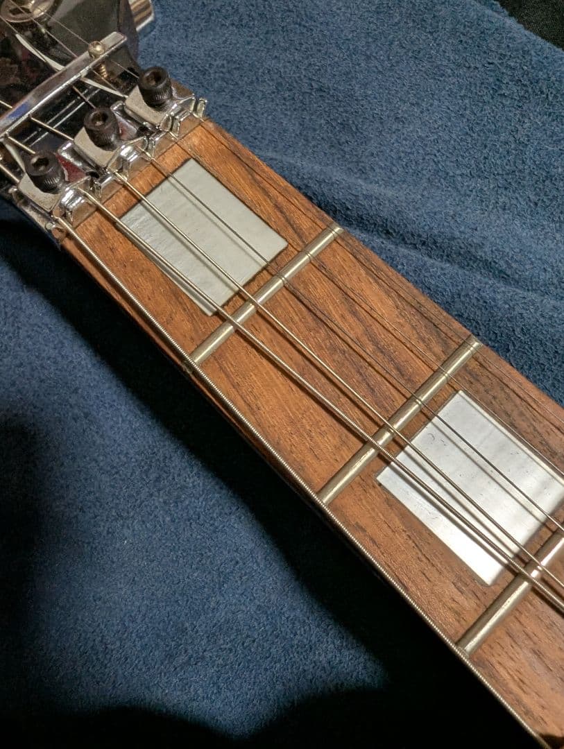 レア Grassroots by ESP フロイドローズ 搭載 レスポール