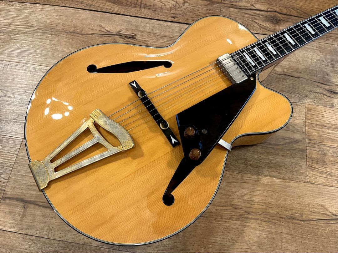 Fujigen/Masterfield MFA-FP 【フジゲン】【フルアコ】