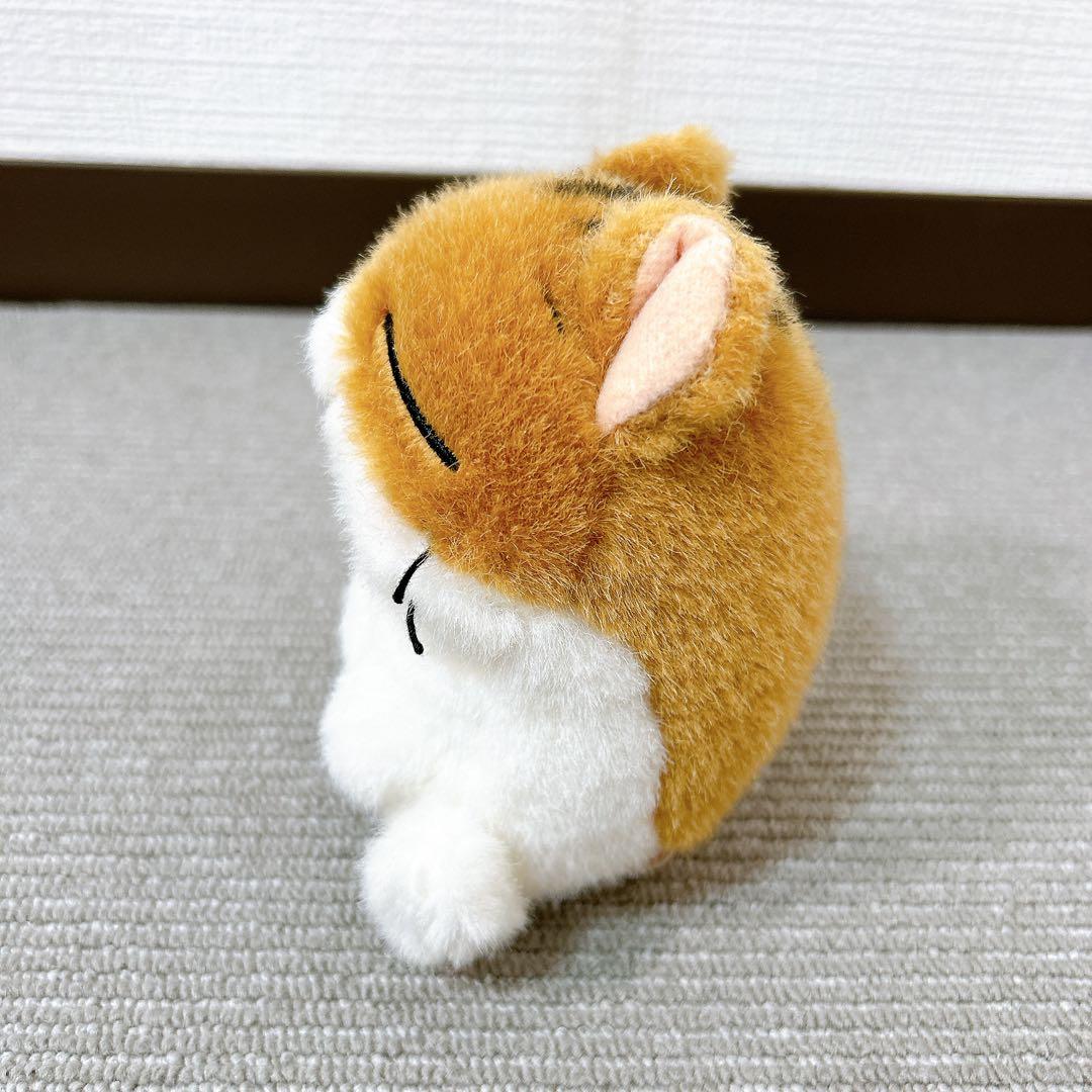 ハムスター倶楽部 めで鯛 あおば出版 サンライク 当時品 しげっち ぷーちゃん