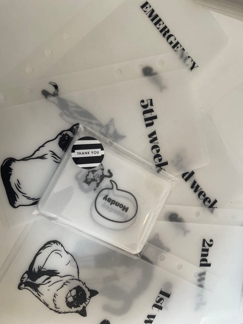 30day☆saving☆33枚猫