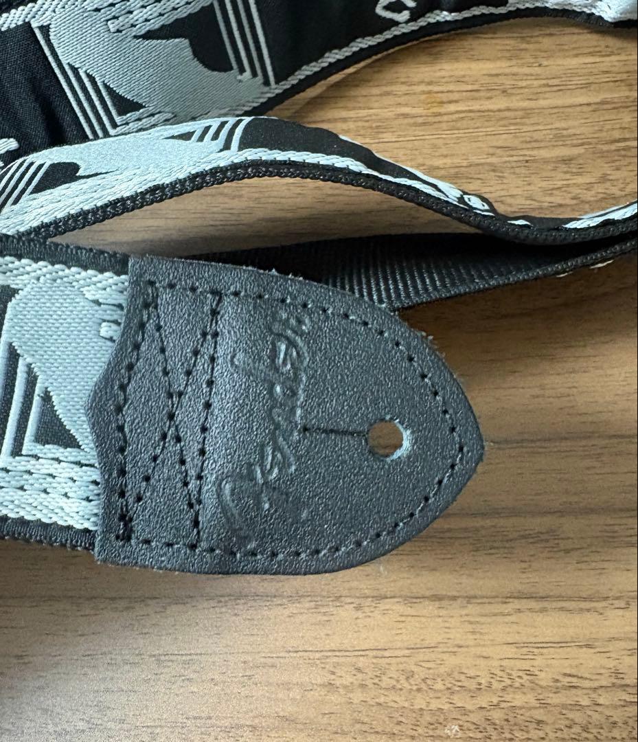 Aria pro2 viper シリーズ　vp-400