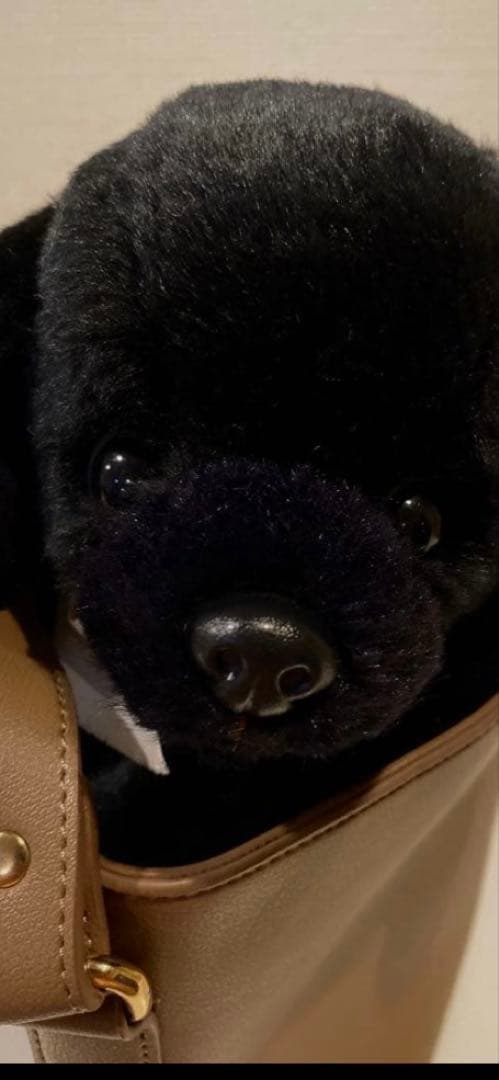 四季オリジナル　ラブラドール犬ぬいぐるみ