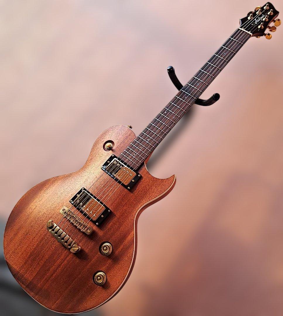 ■AriaProII PE-MAHO II/G 美品 マホガニー アリアプロツー