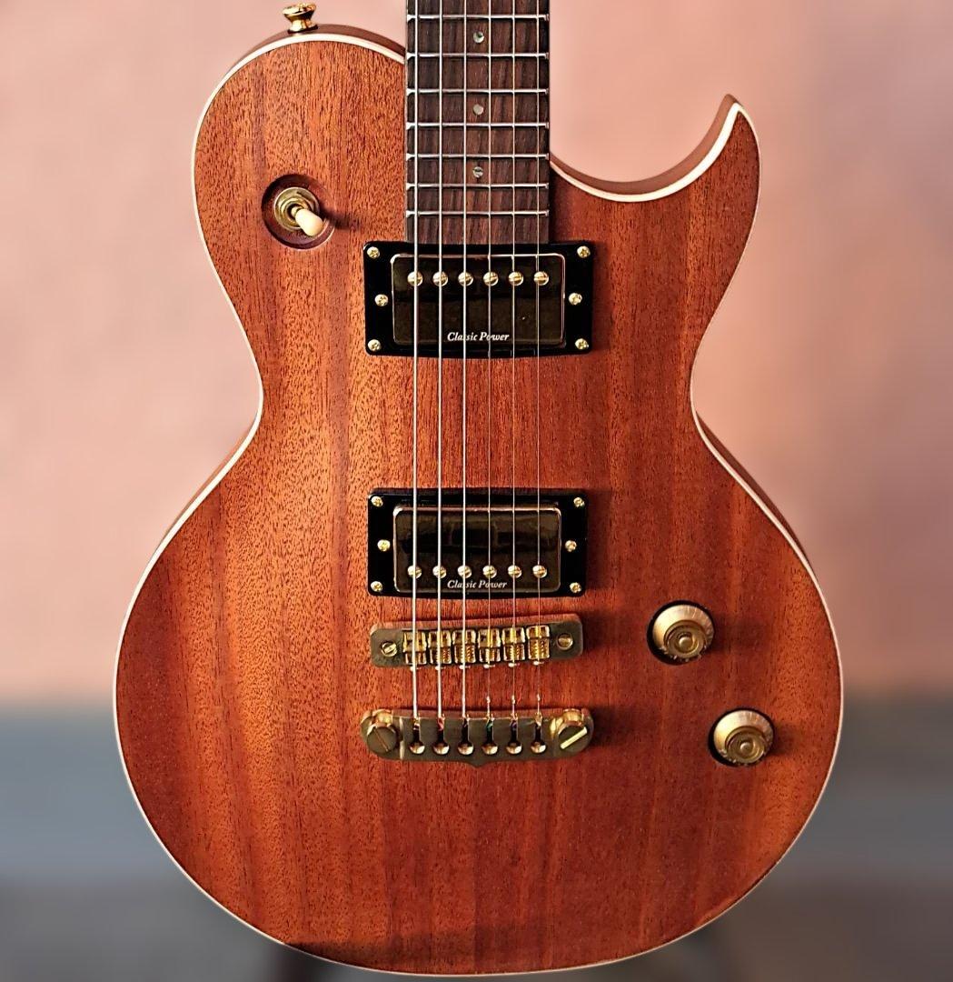 ■AriaProII PE-MAHO II/G 美品 マホガニー アリアプロツー