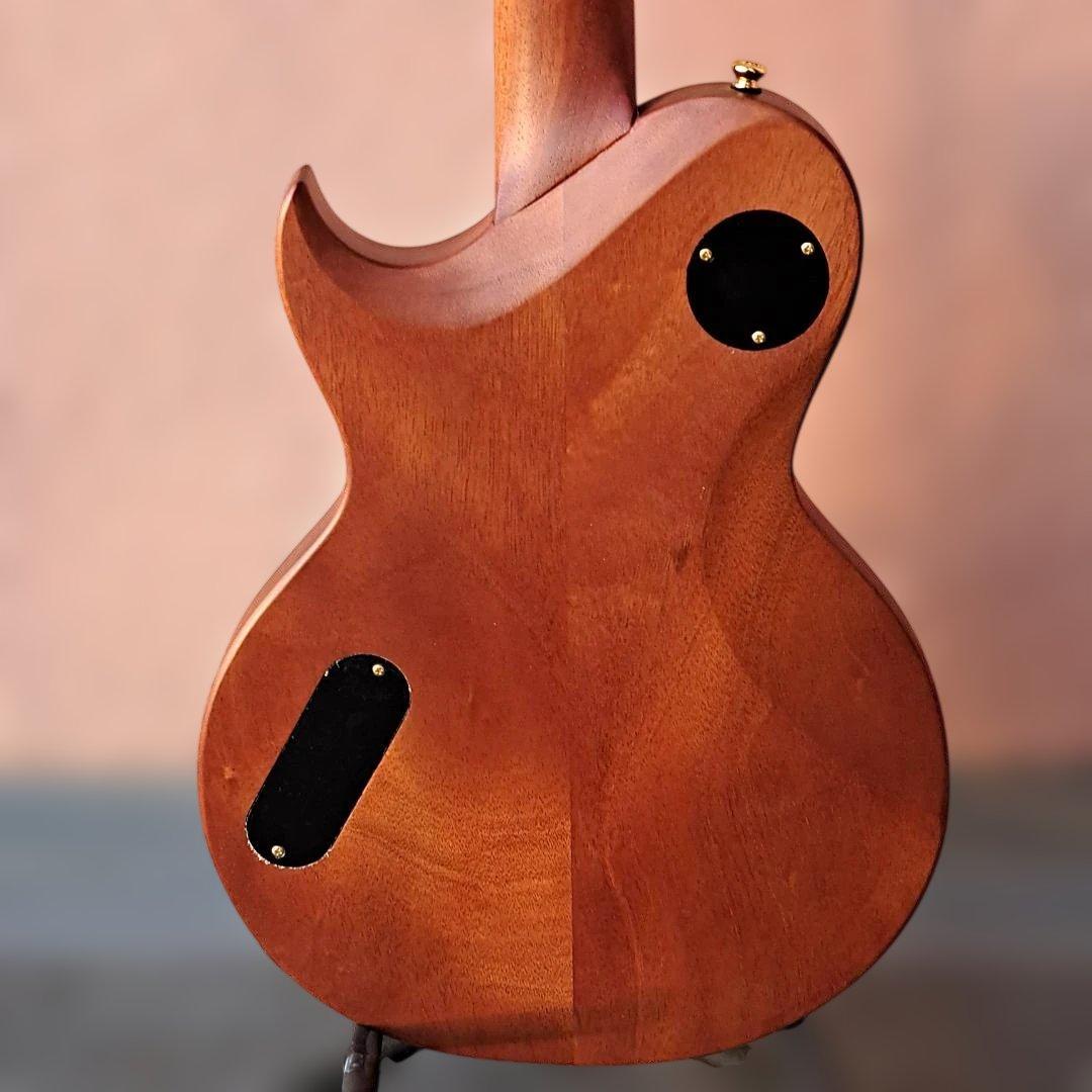 ■AriaProII PE-MAHO II/G 美品 マホガニー アリアプロツー