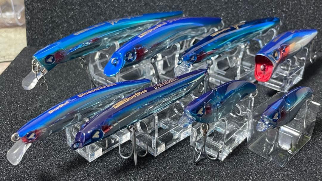 ブルーブルー ブローウィン スカーナッシュ ガボッツ ラザミン ナレージ