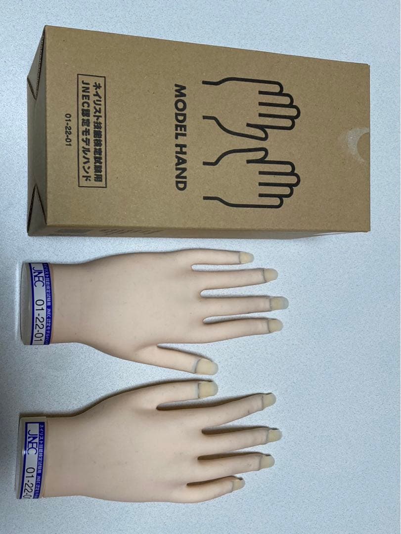 MODEL HANDモデルハンド、ネイル技術検定練習用、使用済み