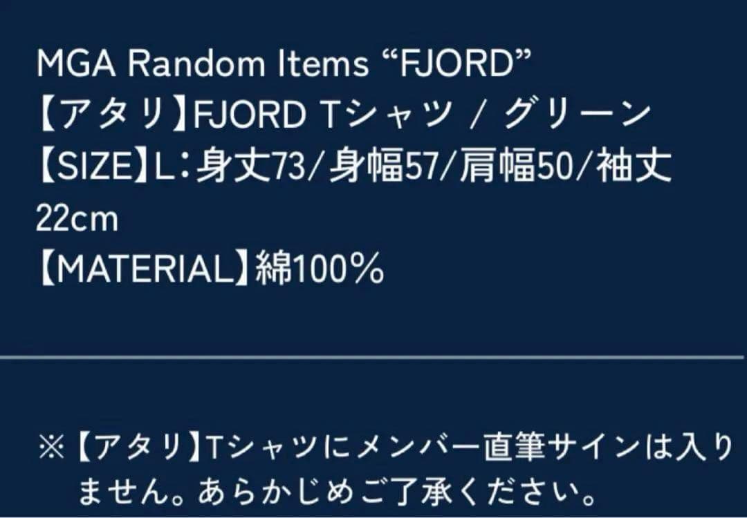 【Mrs. GREEN APPLE】 ミセス フィヨルド あたり Tシャツ L