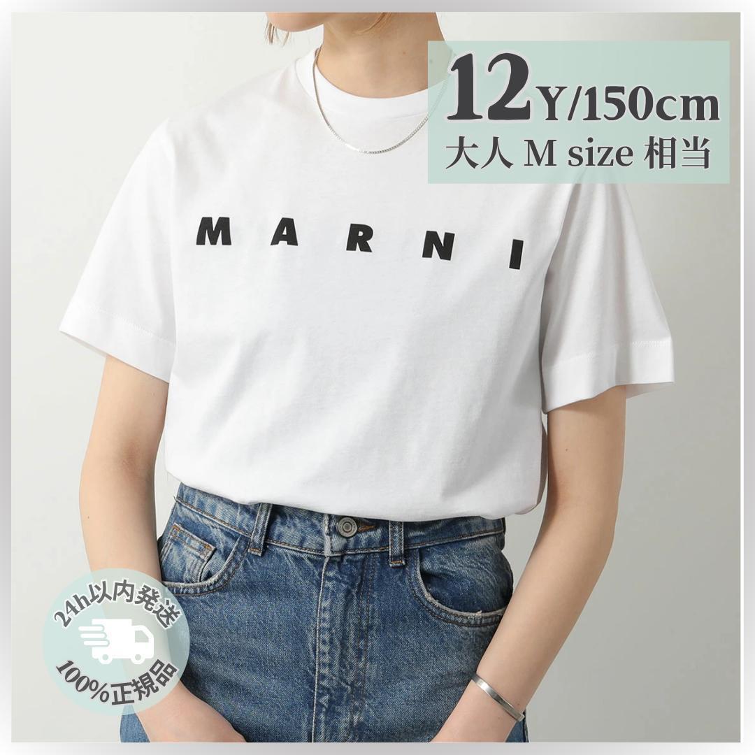 ラスト1点✨マルニ　キッズ ロゴTシャツ　12Y 150cm 新品