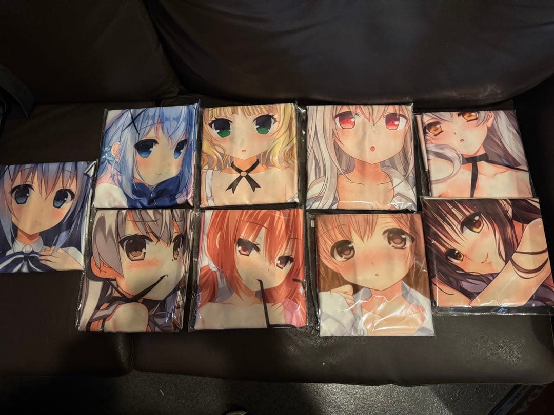 アニメキャラクター？の抱き枕カバー 17枚セット エッチなヤツもあり？