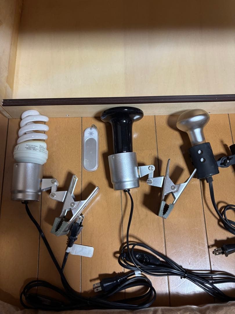 フトアゴ　飼育 セット　フトアゴヒゲトカゲ　リクガメ