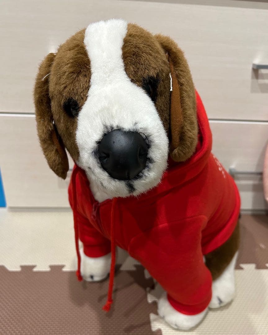 VAN JACの犬のぬいぐるみ