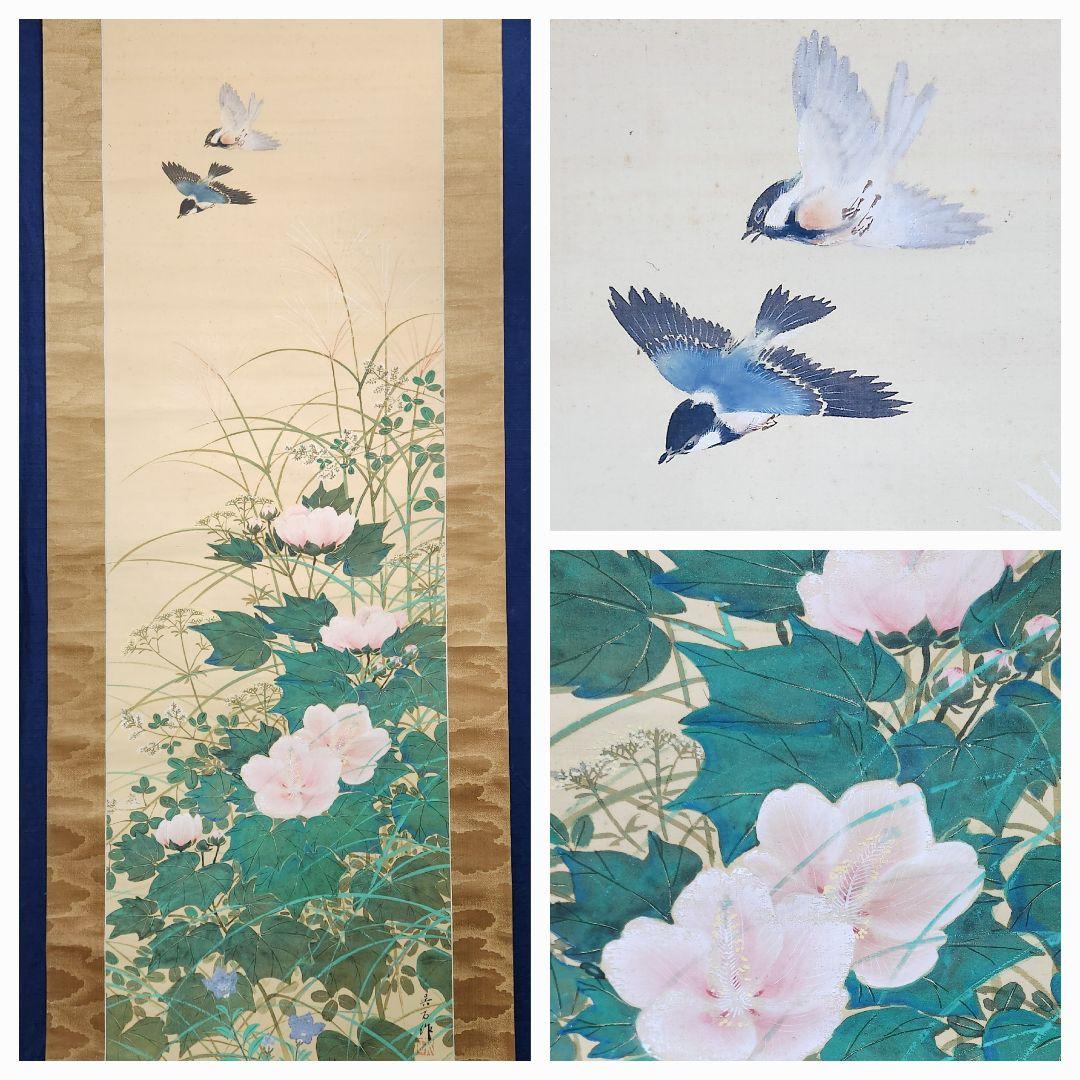 【芙蓉に鳥図】三尾呉石 2692 桔梗 女郎花 秋草 掛け軸 肉筆
