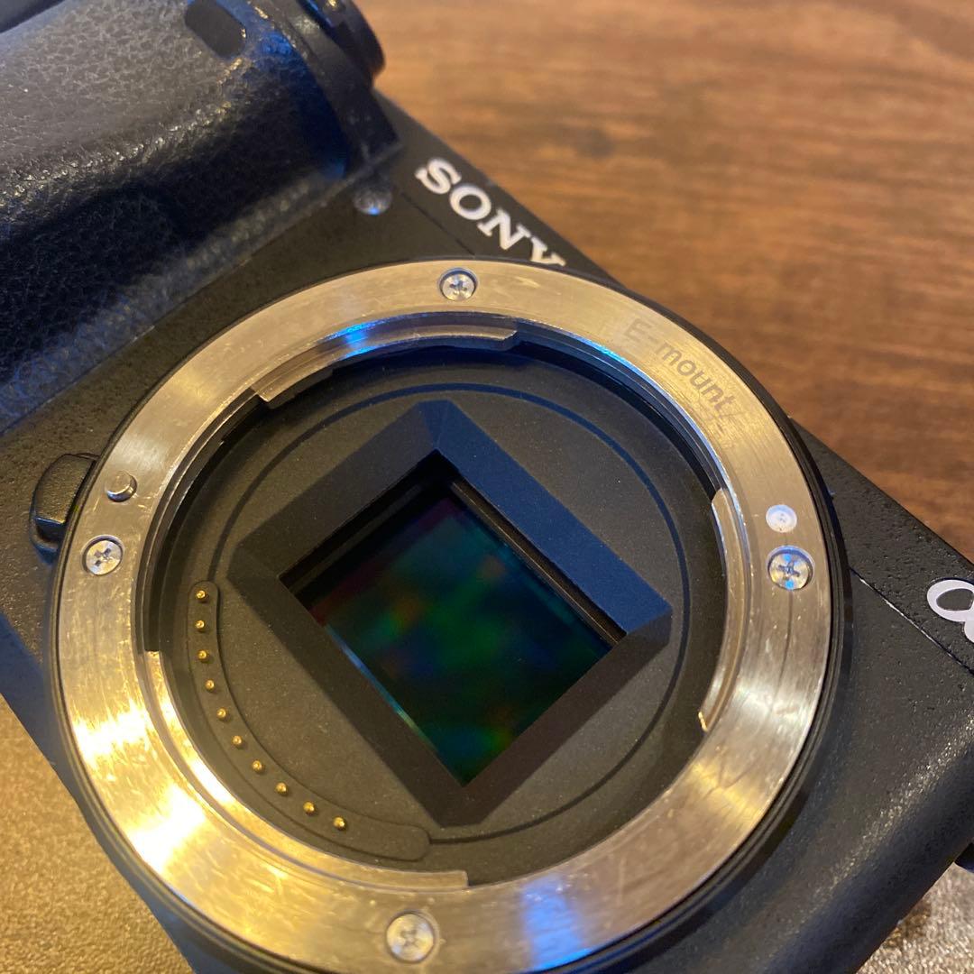 sony α6300 / SIGMA 16mm レンズセット