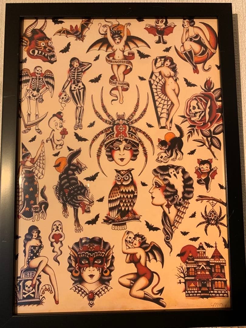 グレートキンタ　17枚