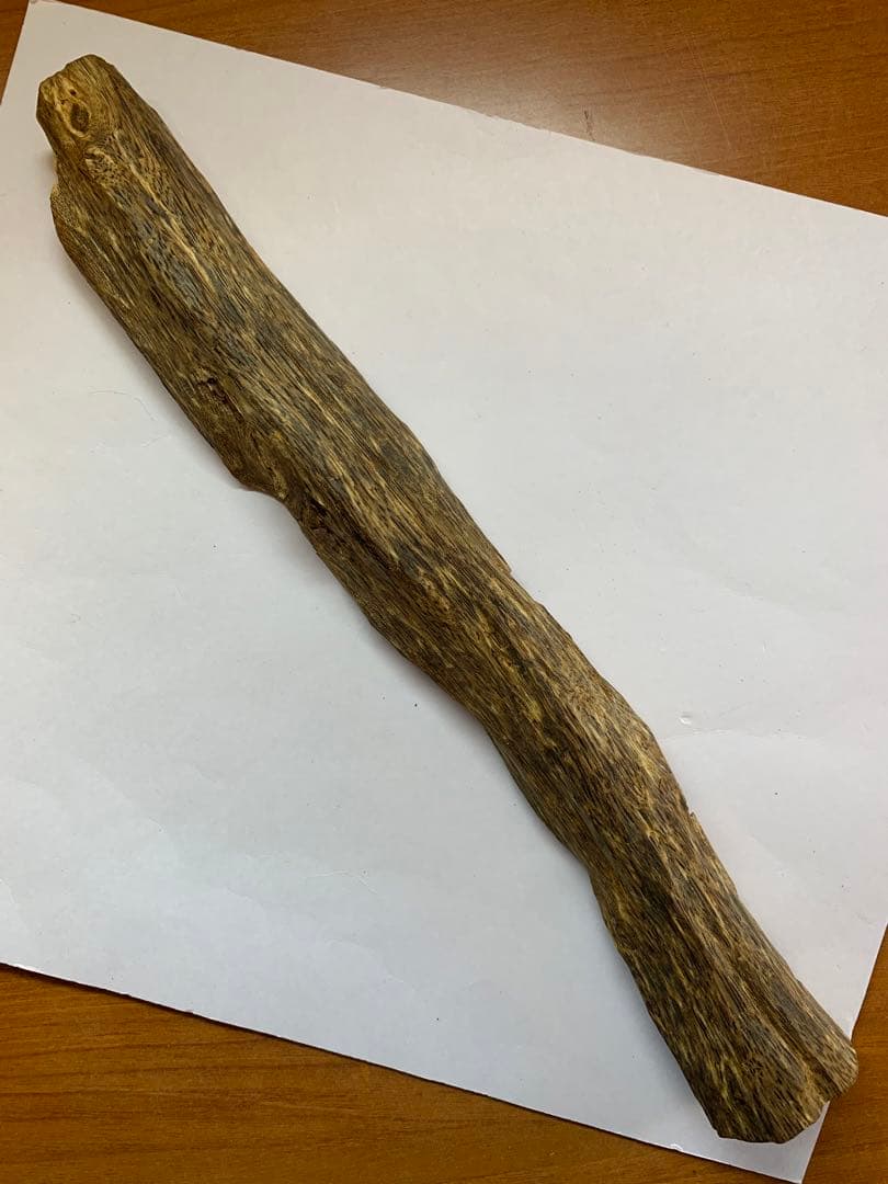極上緑油伽羅 沈香原木 香木 重さ:131.8g (高ランク本物証明)