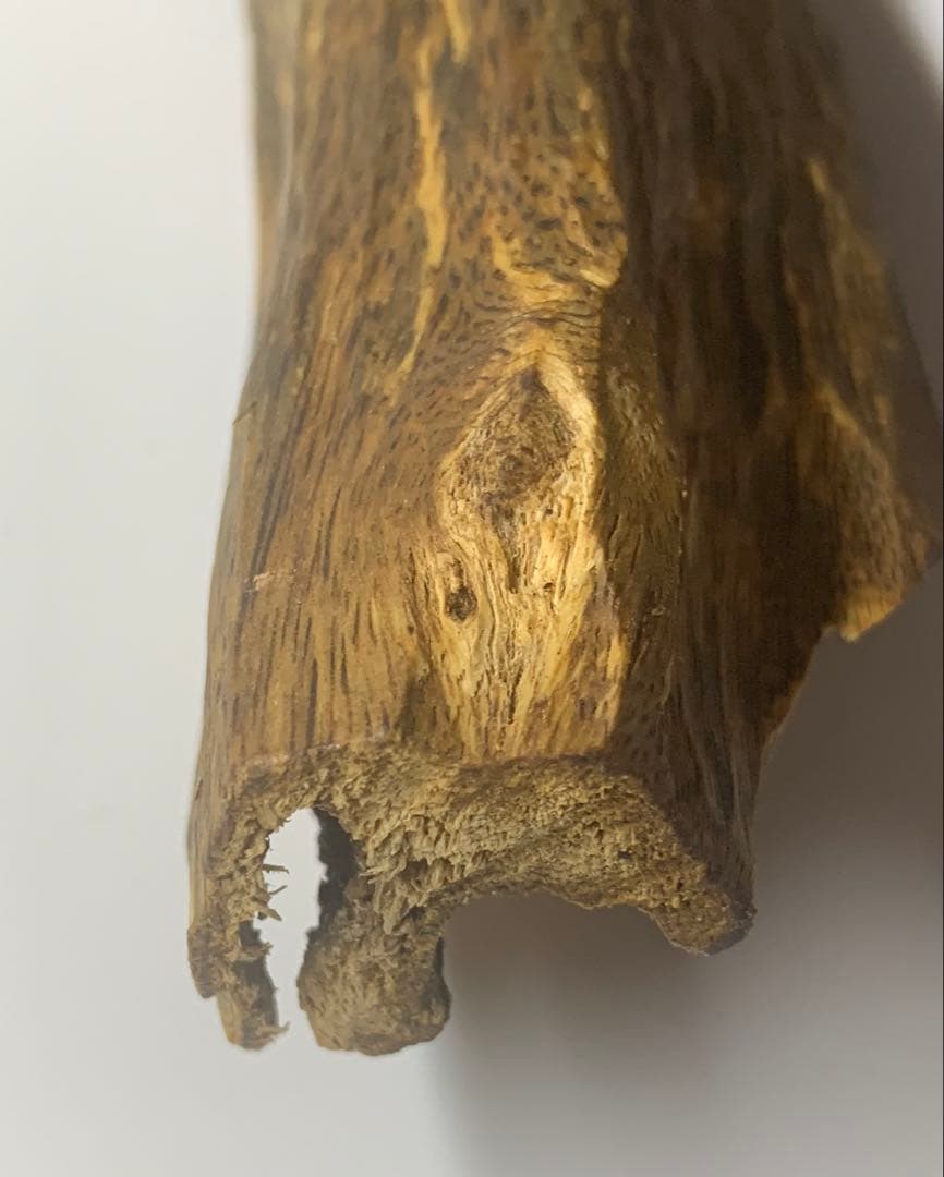 極上緑油伽羅 沈香原木 香木 重さ:131.8g (高ランク本物証明)