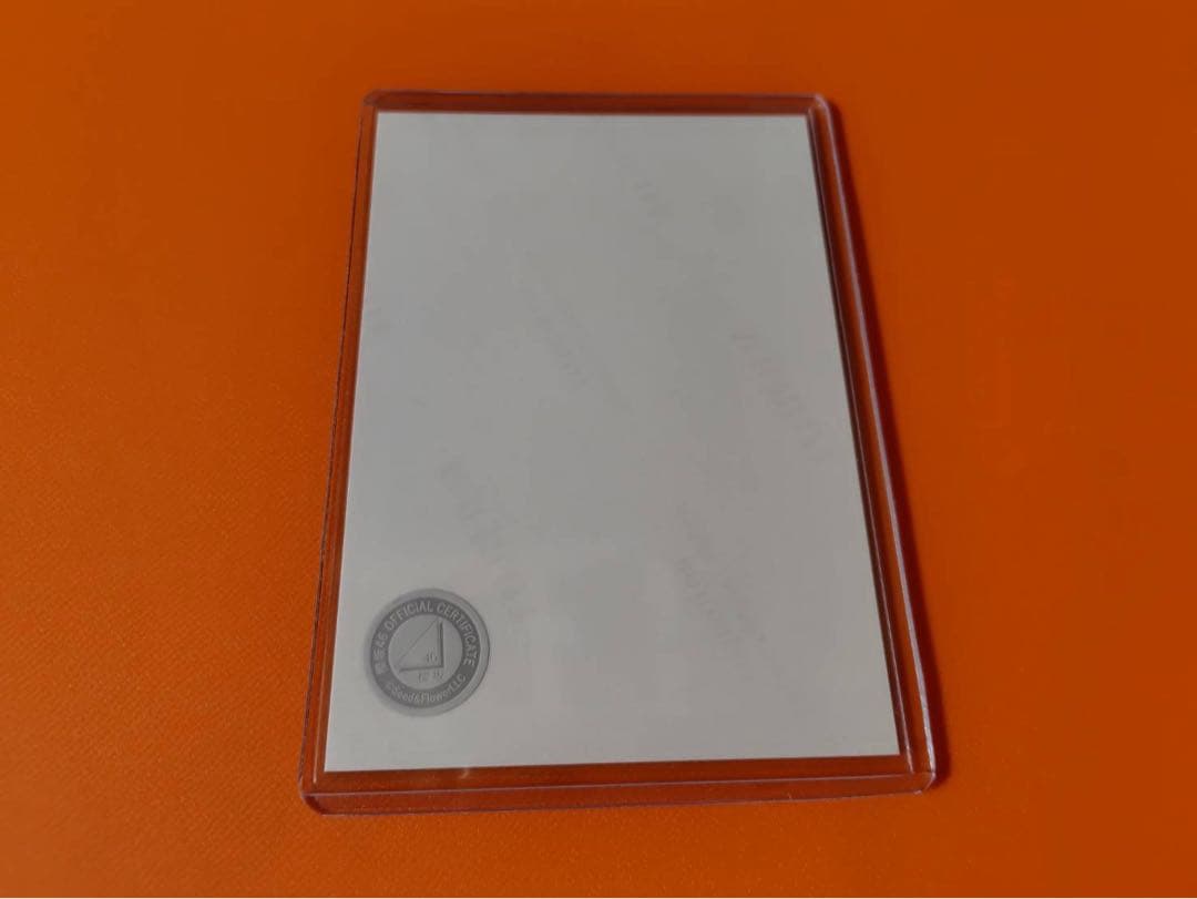 谷口愛季　櫻坂46 2025年 サンタ ランダム生写真 直筆サイン　チュウ