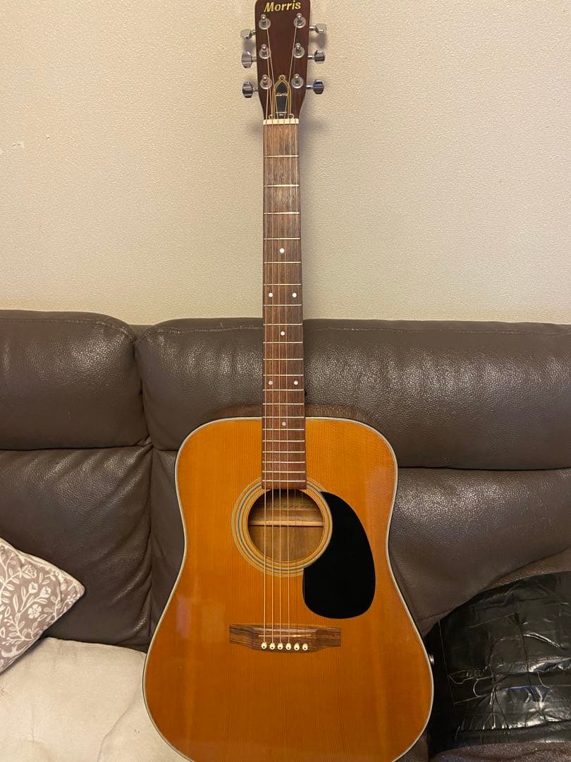 Morris アコースティックギター 6弦