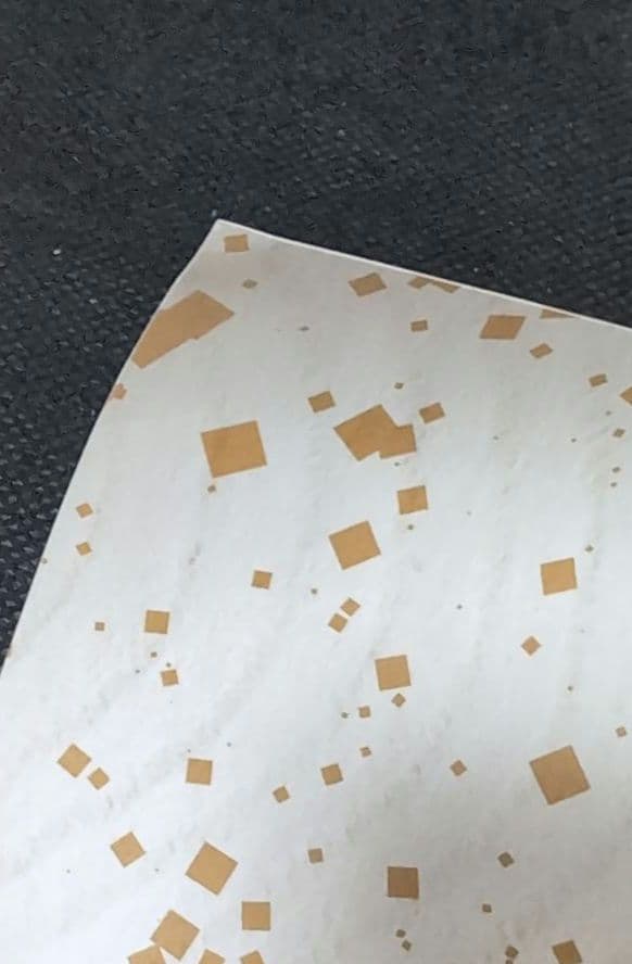 JAPAN PRO 2024 B2 ポスター fwj IFBB 上里譲