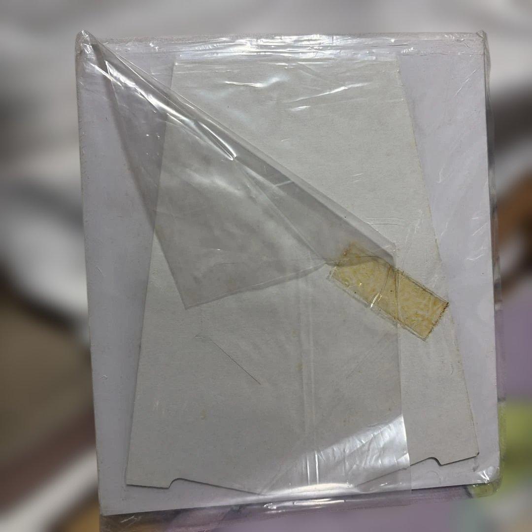 TOKYO Disney land 5th anniversary 缶バッジ