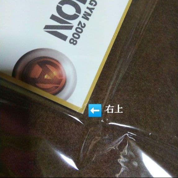 B'z サイン色紙 LIVE-GYM ACTION ライブグッズ 稲葉浩志 松本