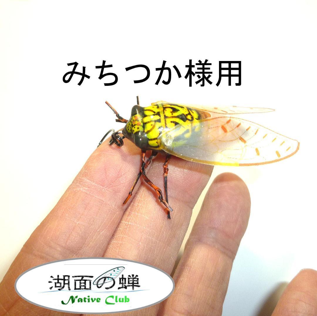 セミ型ルアー～湖面の蝉
