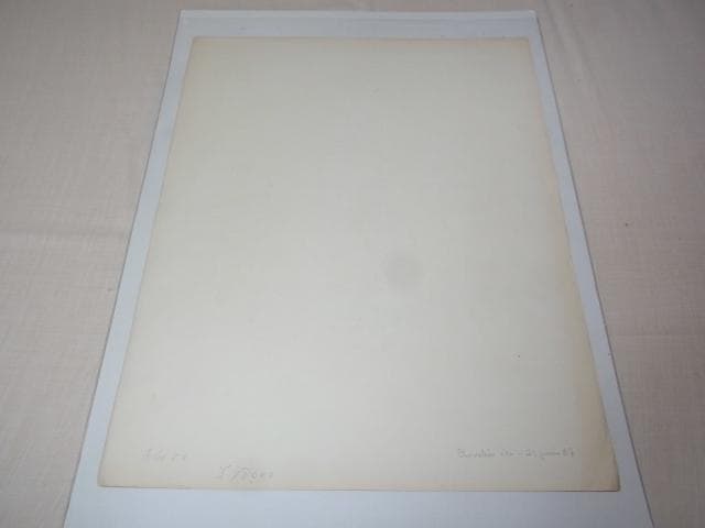 1881年銅版画◆フランス ファッション誌『ラ・モード・イリュストレ』No.22