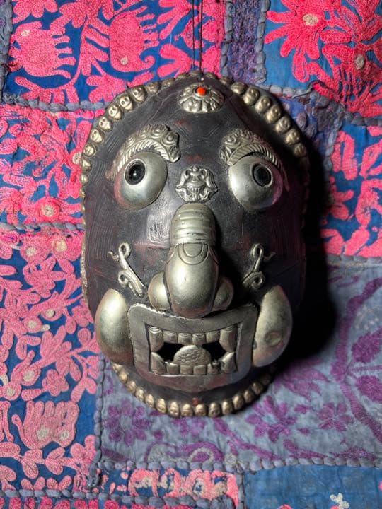 チベタンスカル　カパーラ　レジン亀甲