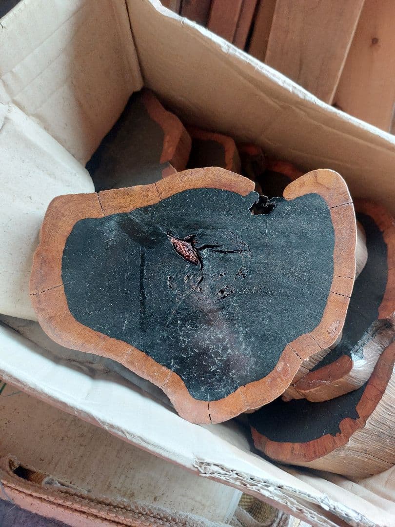 黒檀 コクタン ５個セット コースター 芸術 アンティーク 木製