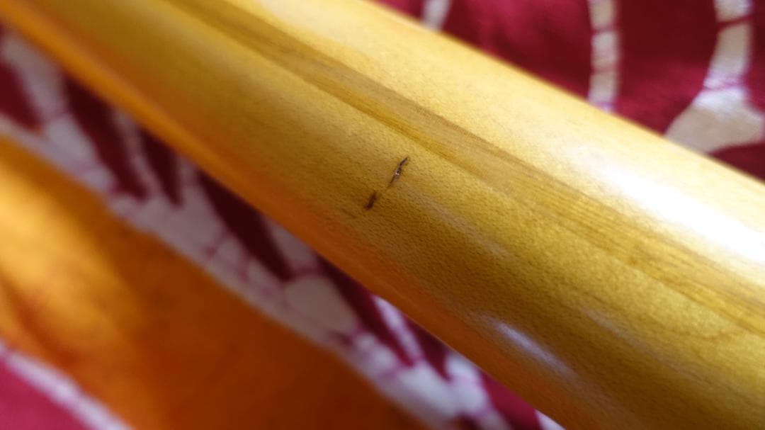 Momose MTL2-STD 焼き印 初期 日本製 テレキャスター