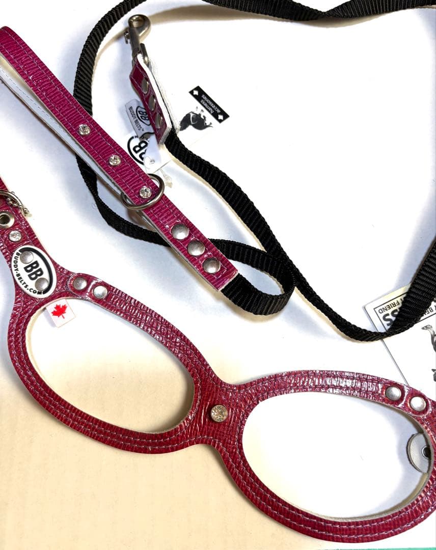 BUDDY BELT （ウィンターベリー）スワロフスキー　3,5号