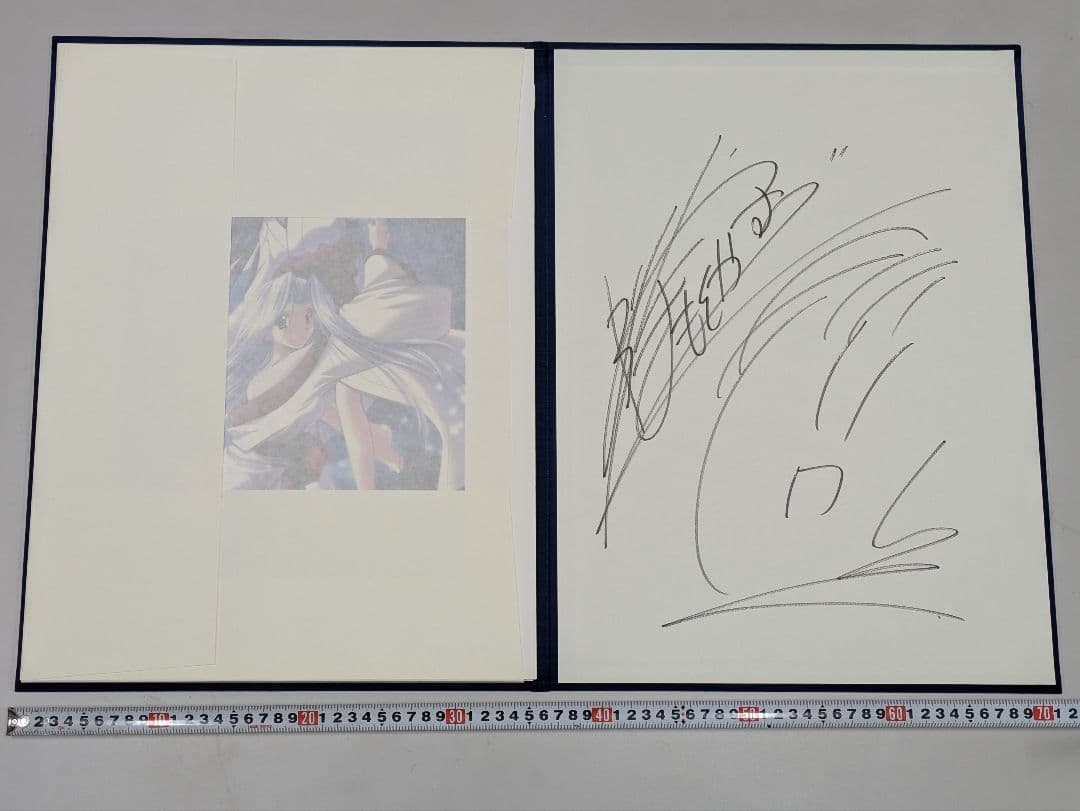 M&Iアート 山本和枝 IZUMO コレクターズエディション