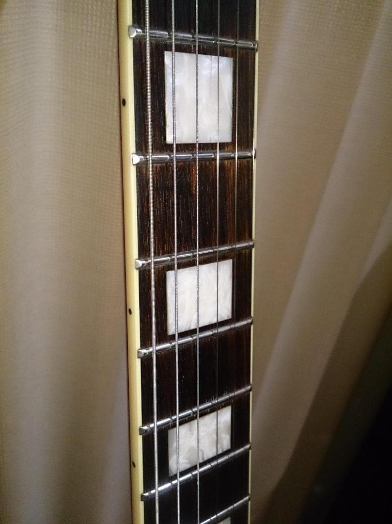 【ハードケース付属】 Burny SRSA65 ES-335タイプ